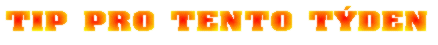 Tip